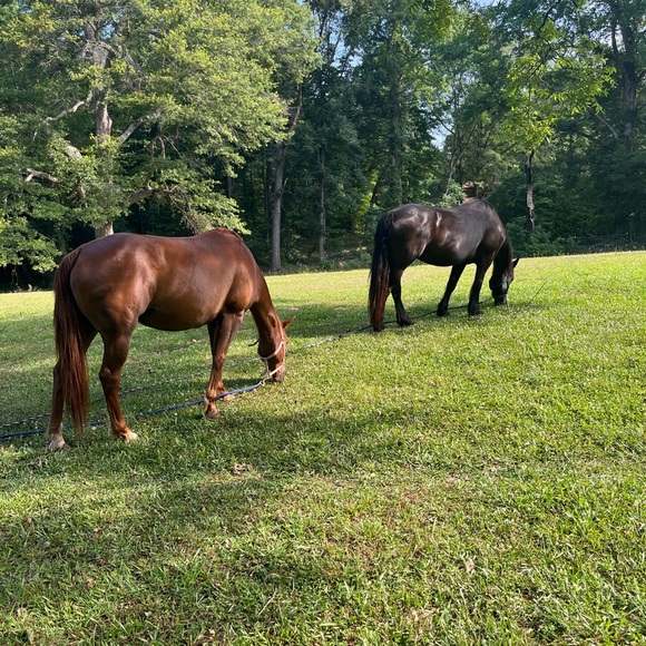 Meet your Posher, Kerry - Picture 11 of 12